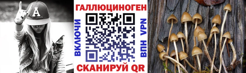 Псилоцибиновые грибы MAGIC MUSHROOMS  даркнет клад  Луховицы 