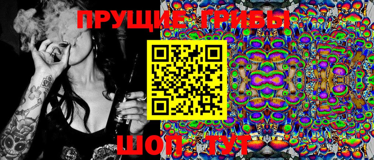 Псилоцибиновые грибы Psilocybine cubensis Луховицы