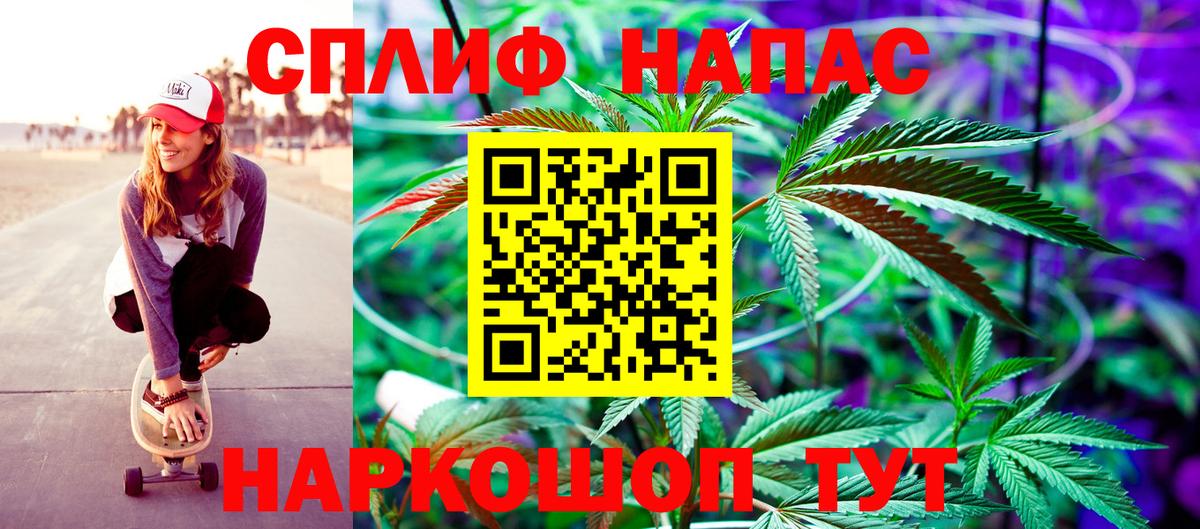 Бошки Шишки план Луховицы